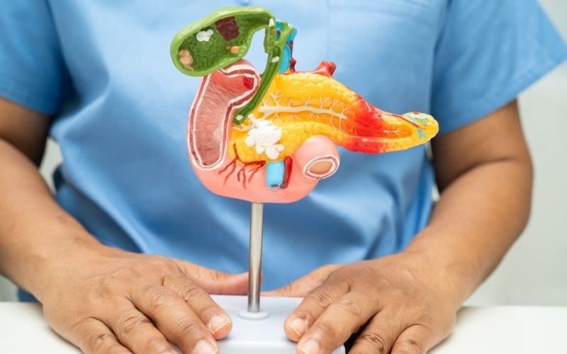 Alpha-Gal Syndrome: The “Red Meat Allergy” Rising Across the U.S. in 2025