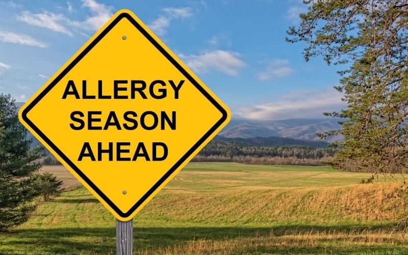 Seasonal Allergy Forecast 2025: What the Data Shows and How to Prepare