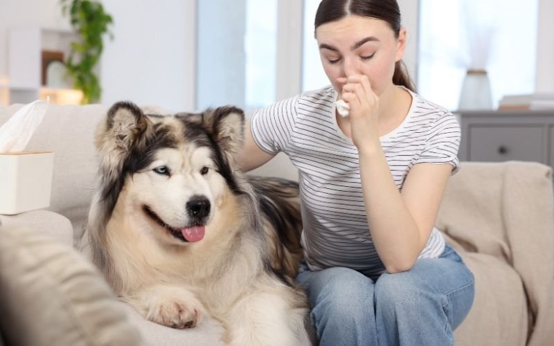 Pet Dander Allergy Symptoms, Causes, and What Actually Helps in 2025
